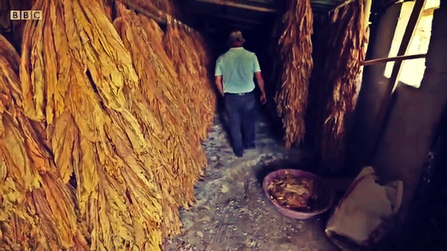 oloi-oi-agrotes-stin-tourkia-einai-stin-idia-katastasi-alla-kaneis-den-tolma-na-milisei-video-128050