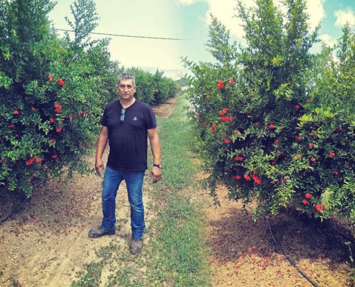 Κωνσταντίνος Χήνας