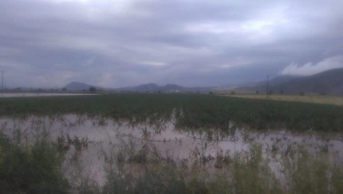 Πλημμύρισαν χωράφια από τη δυνατή βροχή στο Μακρυχώρι Λάρισας