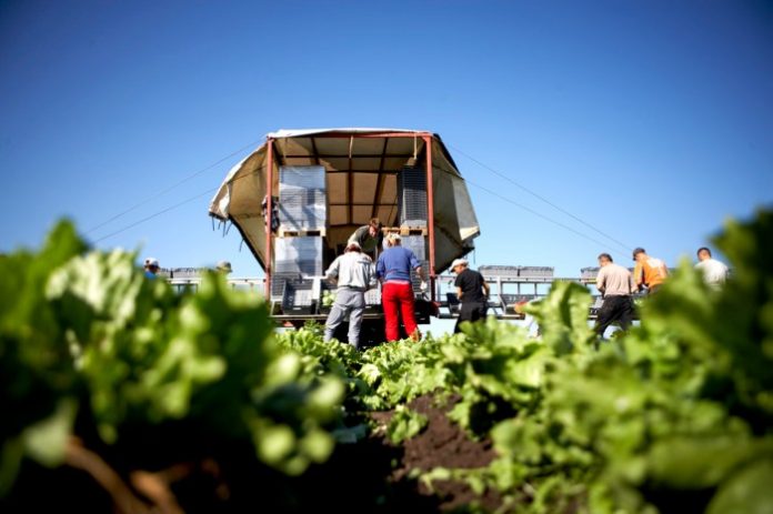 souhdia-agrotes Οι Σουηδοί αγρότες εξαρτώνται σε μεγάλο βαθμό από τις ευρωπαϊκές αγροτικές επιδοτήσεις