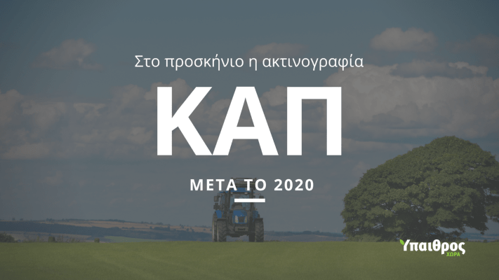 eoke-ponokefalos-i-grafeiokratia-sti-nea-kap-130890