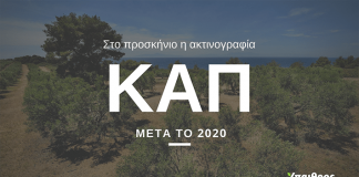 cap-meta-to-2020-afiewroma-III