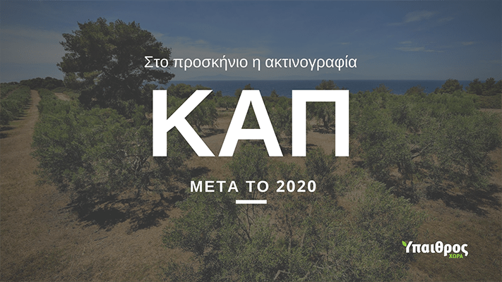 h-kap-meta-to-2020-allazoun-oi-kanones-gia-oporokipeftika-oino-elaiolado-kai-meli-129197