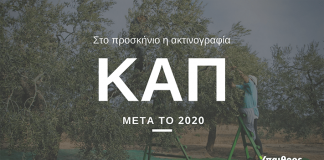 cap-meta-to-2020-afiewroma-IIIΙ-min