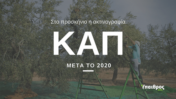 cap-meta-to-2020-afiewroma-IIIΙ-min