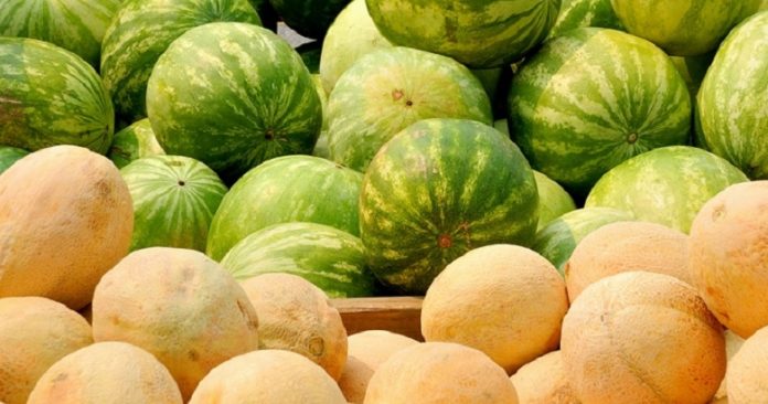 Δέσμευση περίπου 2 τόνων πεπονιών και καρπουζιών σε επιχείρηση στου Ρέντη Δέσμευση περίπου 2 τόνων πεπονιών και καρπουζιών σε επιχείρηση στου Ρέντη