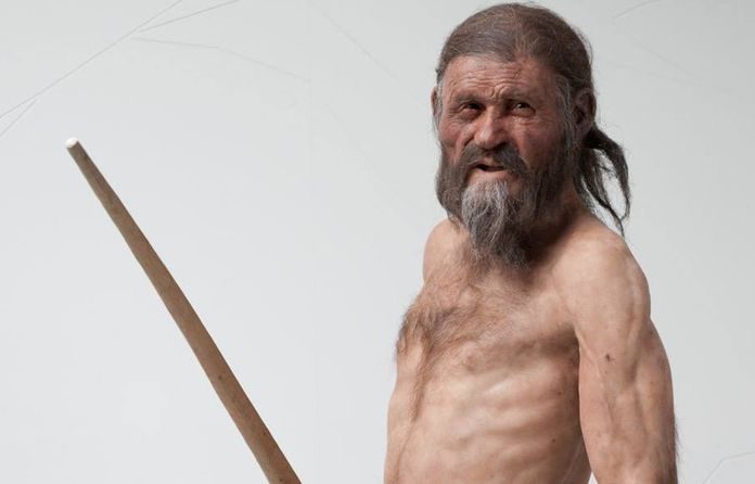 Καπνιστό κρέας, σιτάρι και δηλητηριώδης φτέρη ήταν το τελευταίο γεύμα του Ανθρώπου των Πάγων Καπνιστό κρέας, σιτάρι και δηλητηριώδης φτέρη ήταν το τελευταίο γεύμα του Ανθρώπου των Πάγων