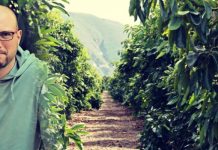 Μανώλης Λεράκης: Ο νέος αγρότης που παντρεύει το αβοκάντο Κρήτης με φέτα, ελιά και ξίδι