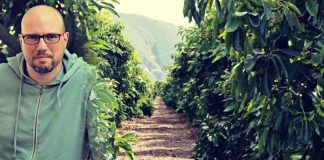 Μανώλης Λεράκης: Ο νέος αγρότης που παντρεύει το αβοκάντο Κρήτης με φέτα, ελιά και ξίδι