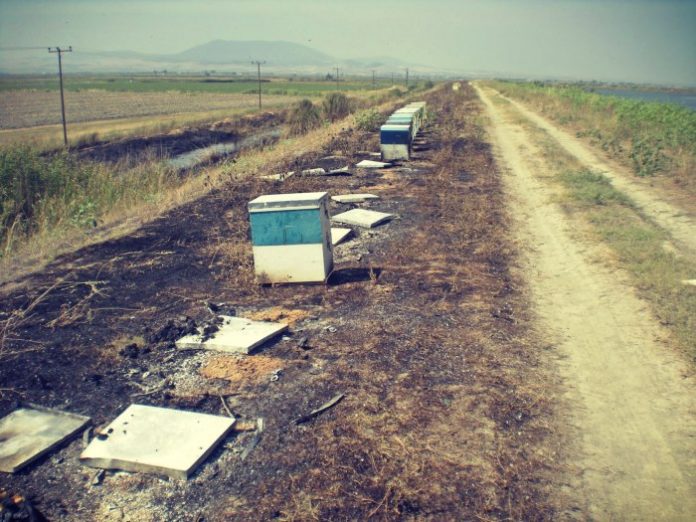 Μέτρα προστασίας από πυρκαγιές σε μελισσοσμήνη