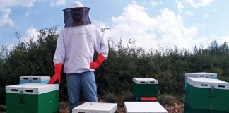 Οι Δημήτρης και Γιάννης Λάσκαρης, δύο αδέρφια από τα Νέα Μουδανιά Χαλκιδικής, επένδυσαν στην αγάπη τους για τη μελισσοκομία