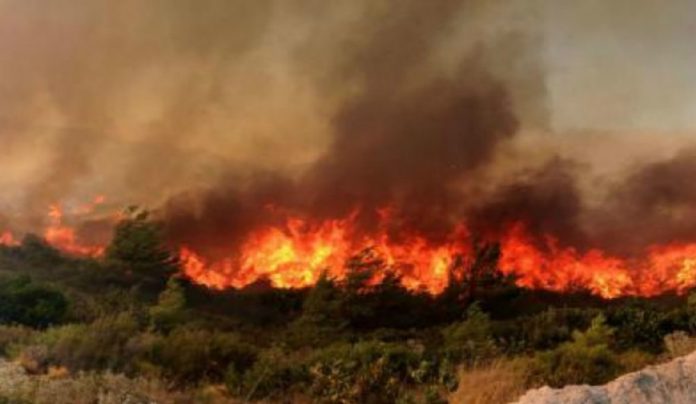 Πύρινο μέτωπο στη Σητεία