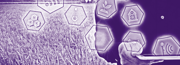 smart-farming smart-farming