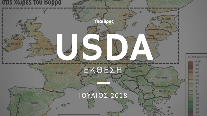 ekthesi-pos-epireazoun-oi-kairikes-synthikes-tin-pagkosµia-georgia-131137