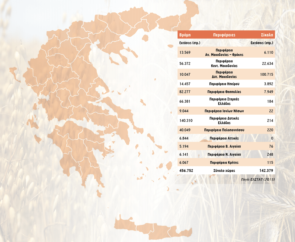 o-kairos-eplixe-tin-paragogi-vroµis-µikroteres-oi-apoleies-sti-sikali-130534