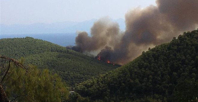 Ξεκίνησε η υλοτόμηση στην απαλλοτριωμένη ζώνη της Λ. Μαραθώνος