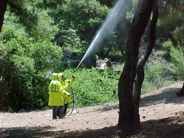Πρόγραμμα Δακοκτονίας 2019: 940 γεωπόνοι και εργατοτεχνίτες αναμένεται να προσληφθούν για την εφαρμογή του φετινού προγράμματος Πρόγραμμα Δακοκτονίας 2019: 940 γεωπόνοι και εργατοτεχνίτες αναμένεται να προσληφθούν για την εφαρμογή του φετινού προγράμματος
