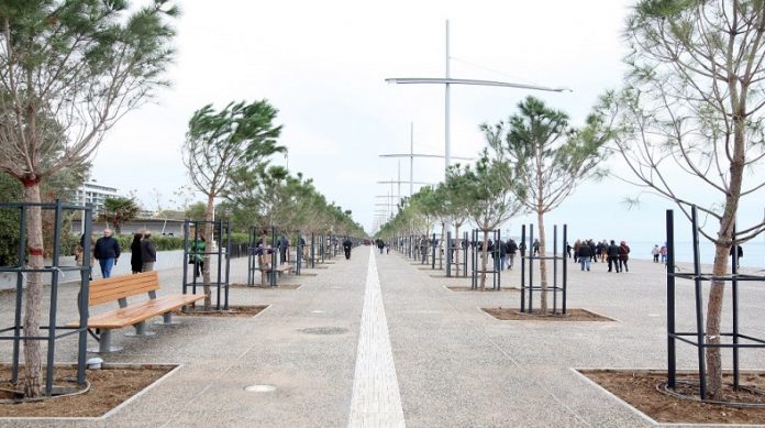 Μέτρα του Δήμου Θεσσαλονίκης για την καταπολέμηση εντόμου που προσβάλλει τα δέντρα Μέτρα του Δήμου Θεσσαλονίκης για την καταπολέμηση εντόμου που προσβάλλει τα δέντρα