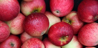 Μήλα: Οργάνωση και έλλειψη αποθεμάτων, ασπίδα στην πίεση των τιμών