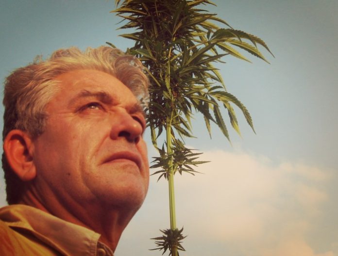 serafim-kandilas-kannabio serafim-kandilas-kannabio