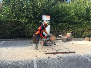 Κατακτούν το ψηφιακό μέλλον τα νέα προϊόντα της STIHL