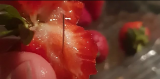 Αυστραλία-Φράουλες με βελόνες: Η βιομηχανία της φράουλας σε κρίση