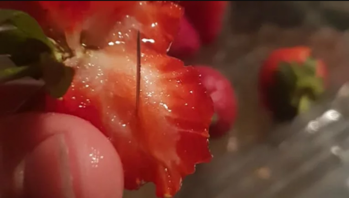 Αυστραλία-Φράουλες με βελόνες: Η βιομηχανία της φράουλας σε κρίση