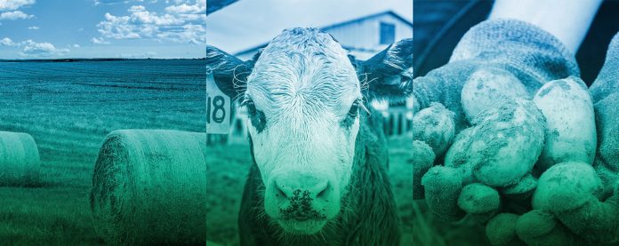 farmeurope farmeurope