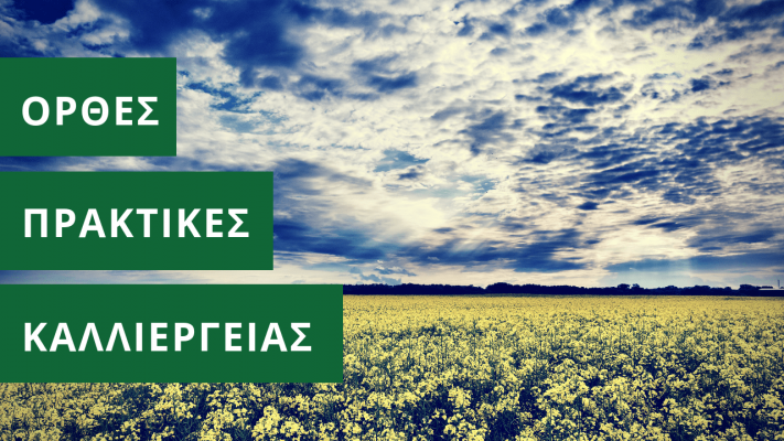 chrisiµes-syµvoules-gia-µia-sosti-spora-elaiokraµvis-134081
