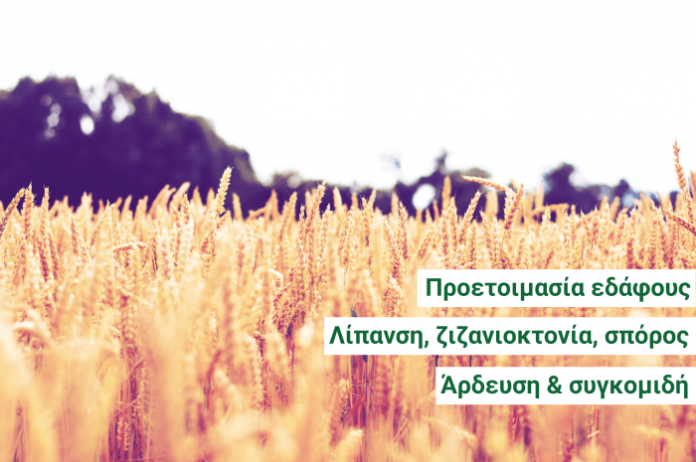 Βέλτιστες πρακτικές για τις καλλιέργειες σιτηρών και ψυχανθών Βέλτιστες πρακτικές για τις καλλιέργειες σιτηρών και ψυχανθών