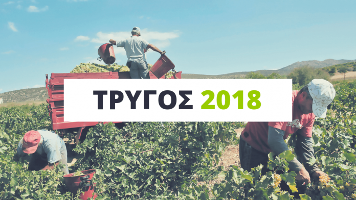 trygos-2018 trygos-2018