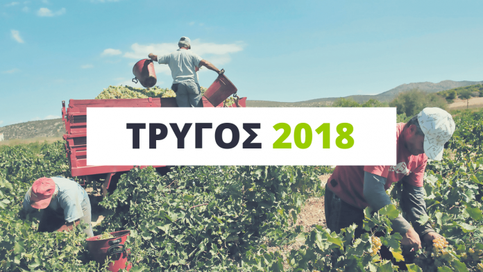 trygos-2018