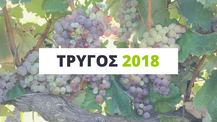 trygos_2018-meiomeni-posotita-statheres-oi-times-gia-ti-mantineia-135631