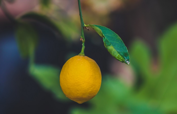 chamiloteri-ekkinisi-fetos-gia-to-lemoni-me-timi-paragogou-sta-80-lepta-134838