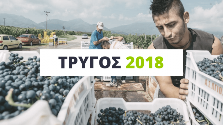 xinomavro-dyskoli-ma-plousia-sodeia-kai-anodikes-times-gia-tous-abelourgous-135636