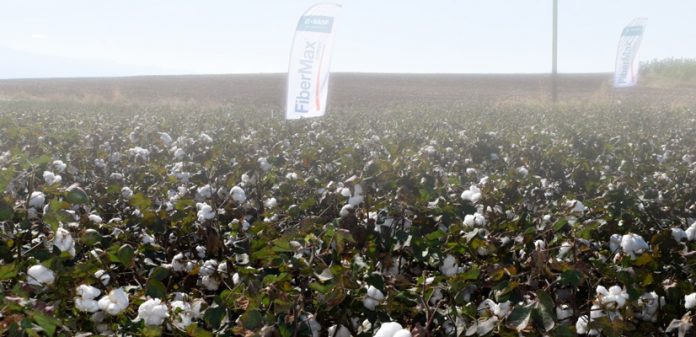 BASF-COTTON-vamvaki BASF-COTTON-vamvaki