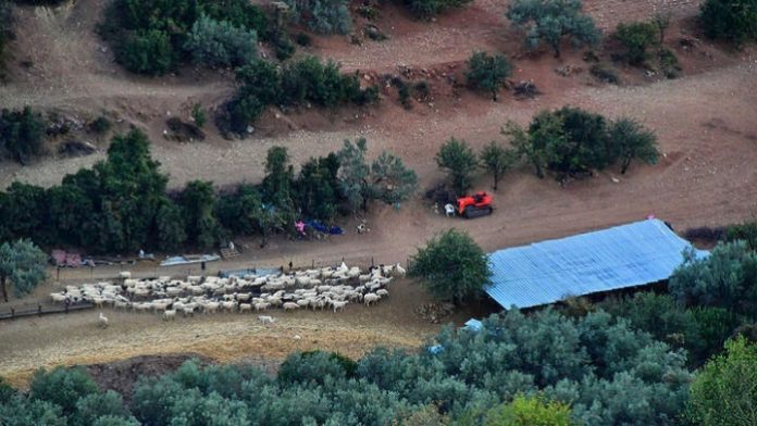 Την Τρίτη 30/10 η Γενική Συνέλευση των Θεσσαλών κτηνοτρόφων Την Τρίτη 30/10 η Γενική Συνέλευση των Θεσσαλών κτηνοτρόφων