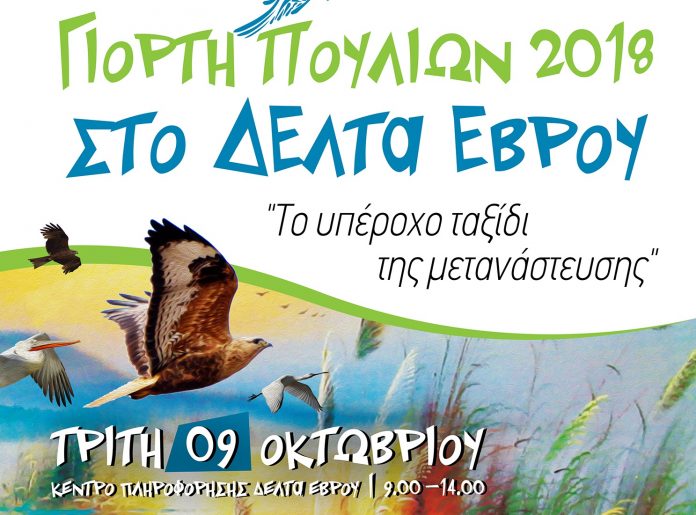 «Ευρωπαϊκή Γιορτή των Πουλιών 2018» στο Δέλτα του Έβρου