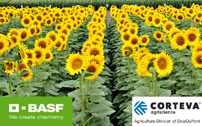 H BASF και η Corteva Agriscience™ ολοκλήρωσαν τη συμφωνία αδειοδότησης για το Σύστημα Παραγωγής Ηλίανθου Clearfield® Plus