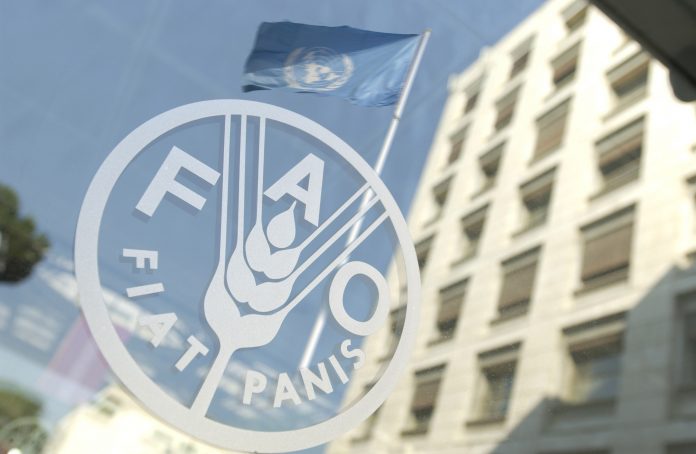 FAO FAO Οργανισμός Τροφίμων και Γεωργίας των Ηνωμένων Εθνών