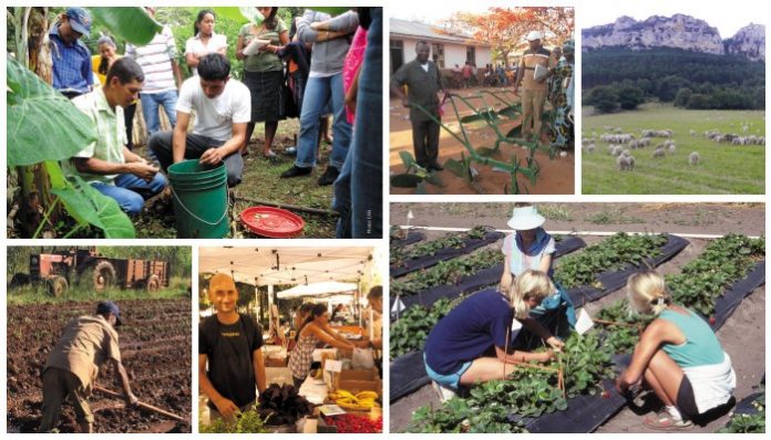 agro-oikologia-ti-einai agro-oikologia-ti-einai