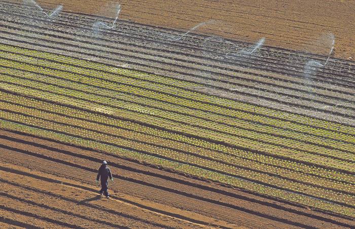 syriza-prostima-600-ekat-evro-prominyei-to-porisma-tis-dg-agri-ta-provlimata-me-tin-pliromi-tou-oktovriou-137772