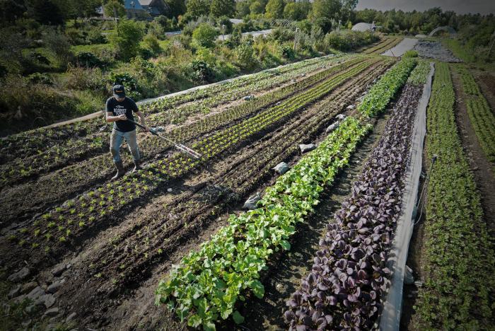 prasino-fos-gia-to-neo-agrotiko-nomoschedio-stin-gallia-137264
