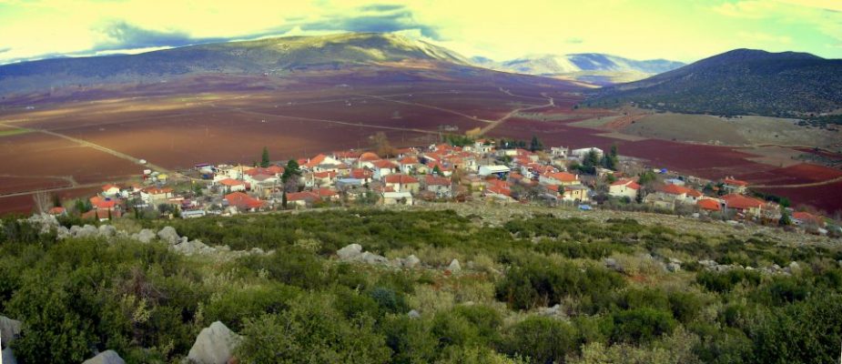 livadeia-paramenei-sta-chartia-o-anadasmos-tou-anthochoriou-137632