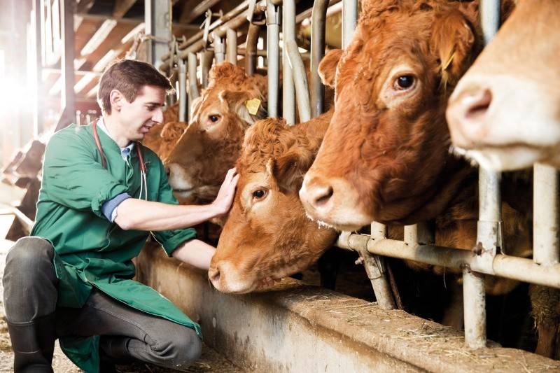 i-bayer-anakoinonei-tous-nikites-ton-vraveion-tis-protovoulias-care4cattle-138962