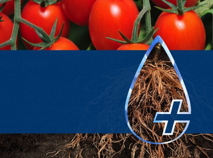 H Bayer υποστηρίζει τους παραγωγούς με μία ευρεία γκάμα ολοκληρωμένων αγρονομικών λύσεων H Bayer υποστηρίζει τους παραγωγούς με μία ευρεία γκάμα ολοκληρωμένων αγρονομικών λύσεων