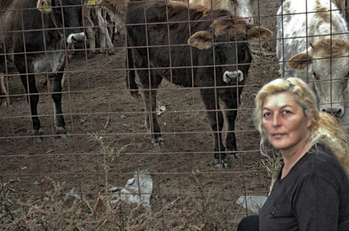elpida-sidiropoulou-ktinotrofos3 elpida-sidiropoulou-ktinotrofos