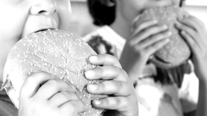 fast-food-paidia fast-food-paidia