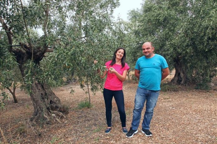 georgia-kostas-doliana-agrotes georgia-kostas-doliana-agrotes