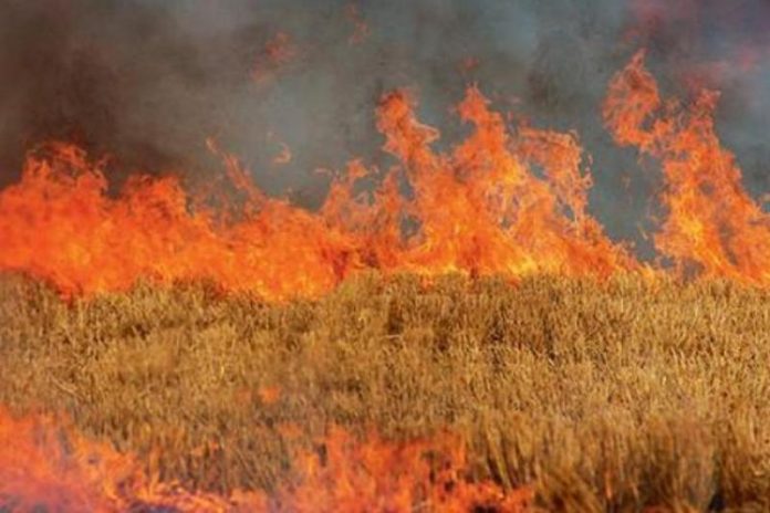 Νεκρός ηλικιωμένος στη Βέροια ύστερα από φωτιά σε χωράφι Νεκρός ηλικιωμένος στη Βέροια ύστερα από φωτιά σε χωράφι
